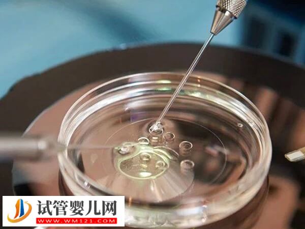 降調期間同房出血除了多休息，定期復查也不可少(圖2)