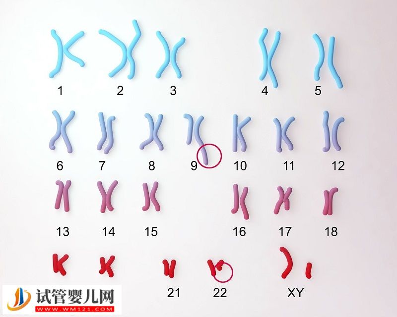 22號染色體缺失能做三代試管嗎(圖1)