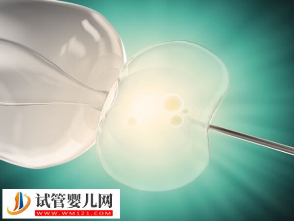 內分泌失調可不可以做試管嬰兒(圖1)