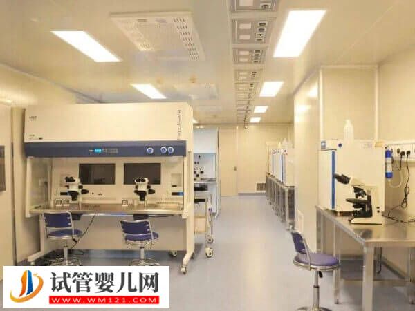 烏克蘭試管嬰兒指南，如何選醫院、助孕要注意什么一并說清！(圖2)