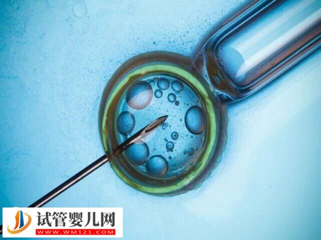 解放軍總醫院第七醫學中心試管嬰兒成功率(圖1)