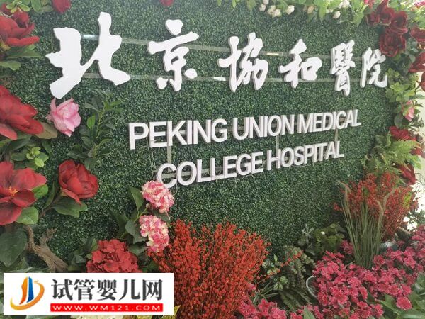 在北京做二代試管嬰兒最好備幾萬？包里揣6萬不用慌！(圖2)