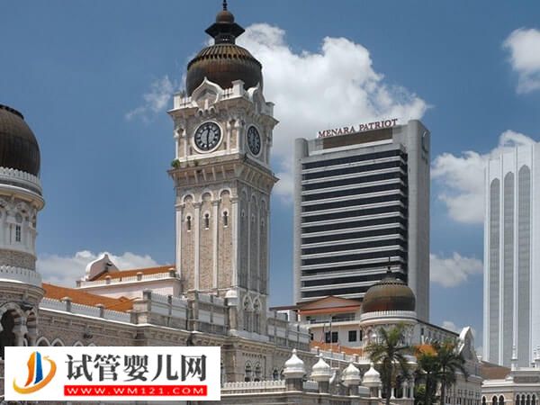 深入解析馬來(lái)西亞試管嬰兒優(yōu)勢(shì)，妊娠率不錯(cuò)是其一(圖1)