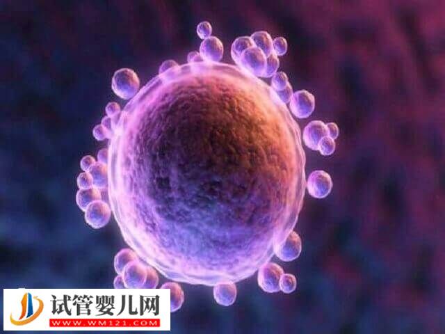 烏魯木齊做試管嬰兒有哪些流程(圖1)