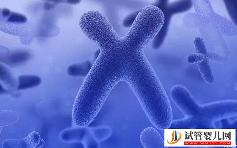 染色體缺失4大原因，遺傳因素只是其中之一(圖2)