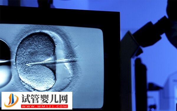 西藏做試管的流程有哪些(圖1)