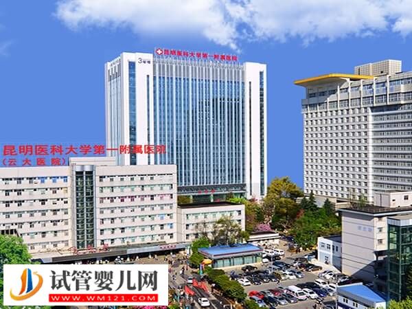 昆明試管嬰兒機(jī)構(gòu)推薦，附具體花銷和選院指南！(圖2)