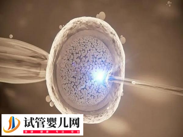 前往北京做試管還是天津比較好(圖1)