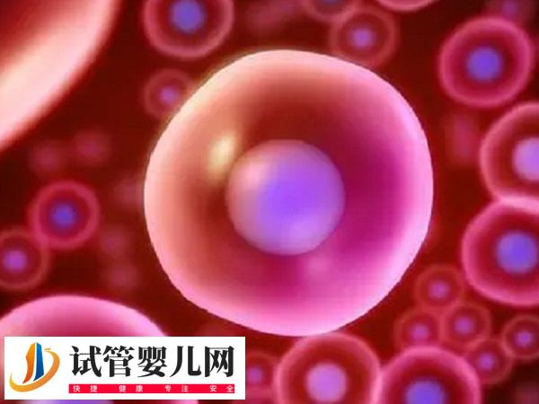 在俄羅斯做試管步驟是什么(圖1) 在俄羅斯做試管步驟是什么(圖1)