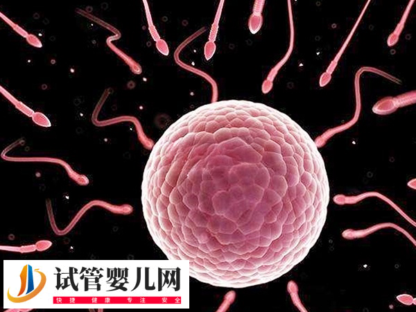 在俄羅斯做試管步驟是什么(圖2) 在俄羅斯做試管步驟是什么(圖2)