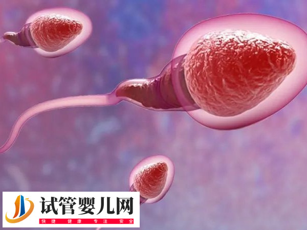 前往江門市中心醫(yī)院做試管的技術(shù)如何(圖1)