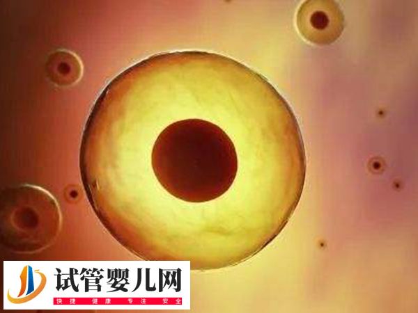 在美國做試管優(yōu)質(zhì)胚胎是啥樣的(圖1)