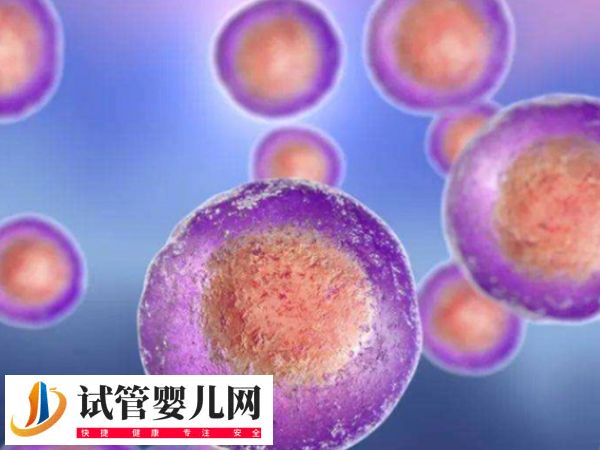 在美國做試管優(yōu)質(zhì)胚胎是啥樣的(圖2)