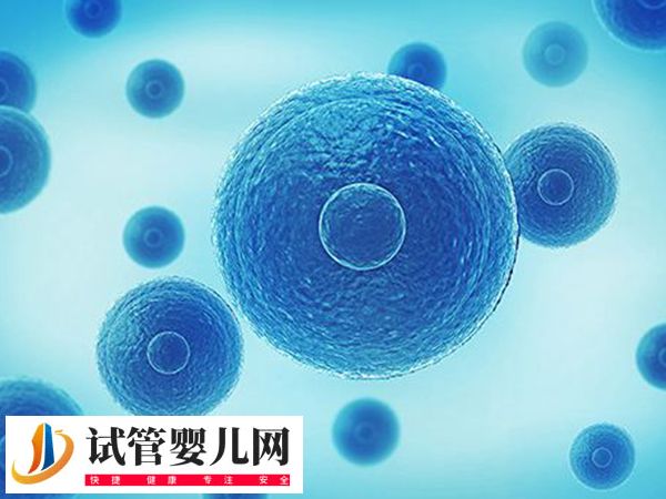 江蘇宿遷能不能做試管嬰兒(圖1) 江蘇宿遷能不能做試管嬰兒(圖1)