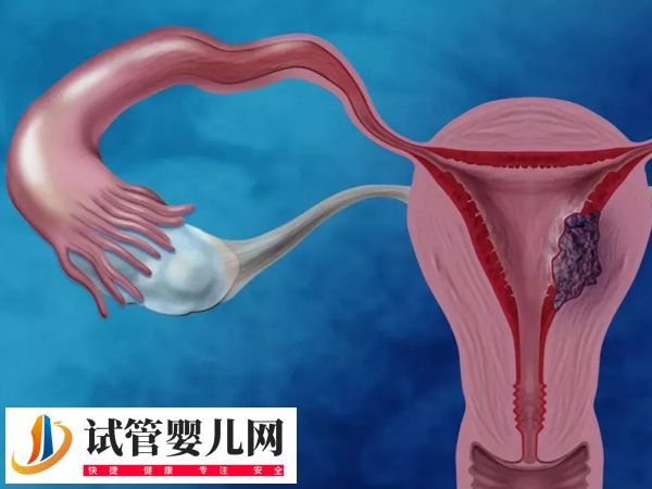 攀枝花試管醫(yī)院哪家好(圖2)