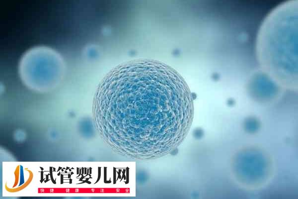 南京鼓樓做試管成功率多高(圖2) 南京鼓樓做試管成功率多高(圖2)