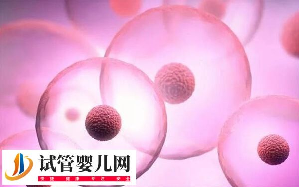 成都做試管嬰兒哪家好(圖1)