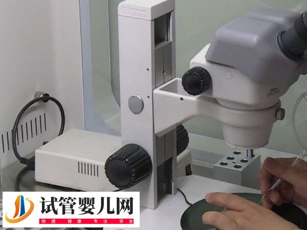 泰國試管嬰兒包成功可不可信(圖3)