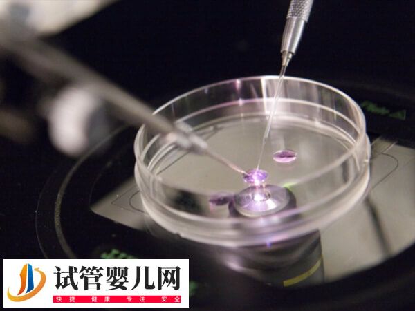 泰國試管嬰兒包成功可不可信(圖4)