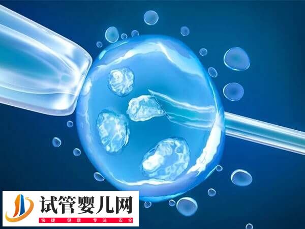 美國四代試管嬰兒是什么技術(圖2)
