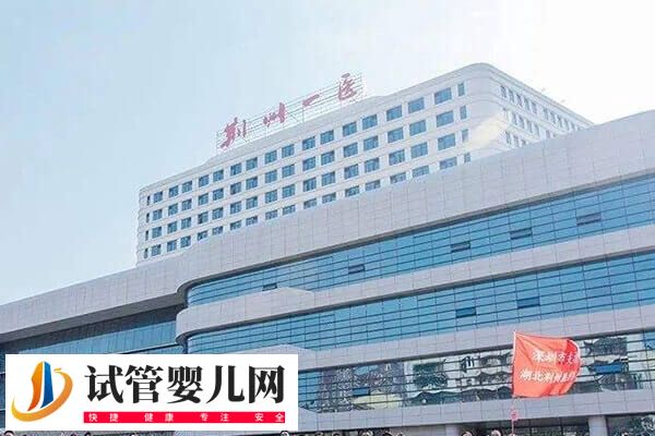 荊州不孕不育醫院哪家好(圖3)