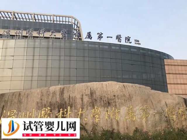 溫州附一醫(yī)試管嬰兒多少錢(圖1)