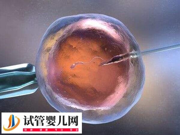 排卵過后子宮內(nèi)膜多少能做試管移植(圖1)