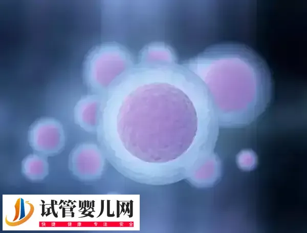 卵泡破裂會不會肚子疼