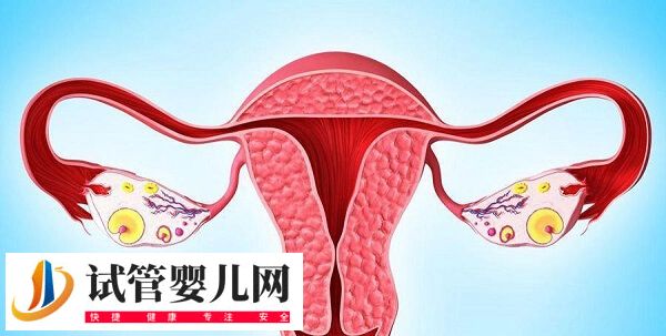 試管嬰兒一次成功率有多大(圖2)