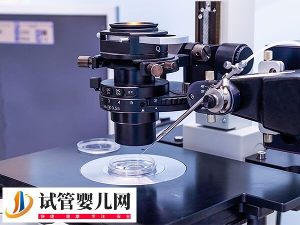 二代試管好還是三代好