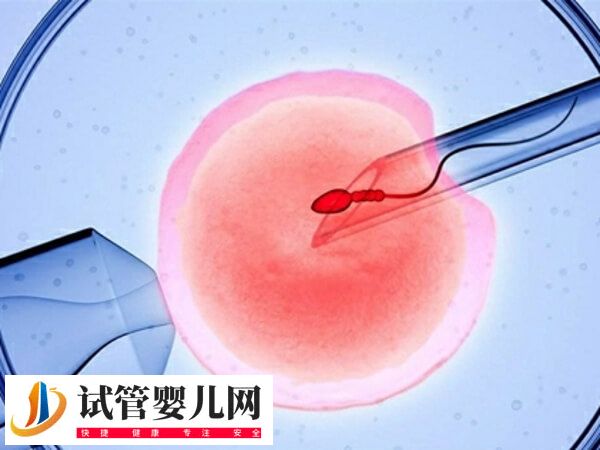 32歲子宮切除后能不能做試管