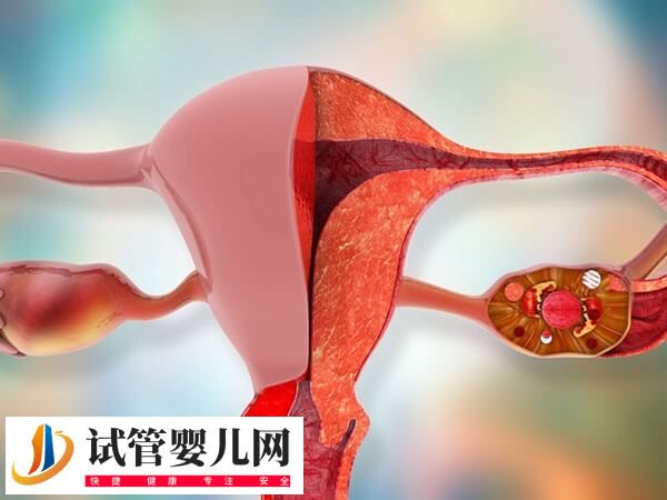 女性卵巢早衰能不能做試管嬰兒